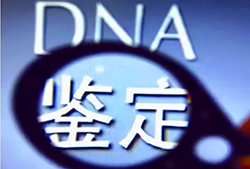 上海市实名DNA亲子鉴定流程是怎样的，上海市实名亲子鉴定收费多少钱一次