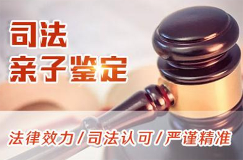 上海市司法DNA鉴定怎么做,上海市司法亲子鉴定准确性高吗