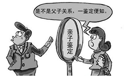 上海市个人想做亲子鉴定怎么做？上海市个人想做亲子鉴定需要什么流程？