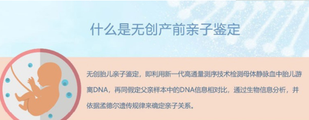 上海市胎儿与父亲如何做血缘检测,上海市孕期亲子鉴定准确吗