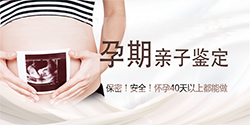 在上海市刚怀孕需要怎么做孕期亲子鉴定，上海市办理产前亲子鉴定准确吗