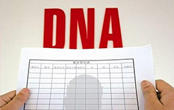 上海市哪家医院能办理DNA鉴定呢，上海市医院办理亲子鉴定需要什么材料和流程